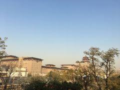 -莲花池公园