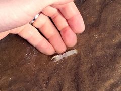 -南戴河国际娱乐中心