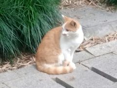 -苏州河梦清园环保主题公园