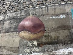 -京北渔家傲