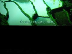 -幸福蓝海国际影城(崇安寺T12店)