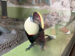 -石家庄市动物园