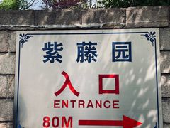 -嘉定紫藤园