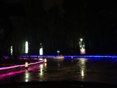 、-枫花园汽车电影院(朝阳公园店)