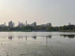 -武汉园博园(武汉自然博物馆)