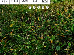-东山湖公园