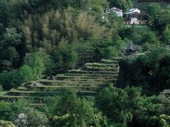 -石台牯牛降景区