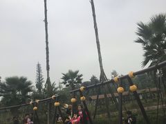 -枫香湖儿童公园