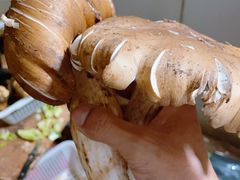 -菌彩云南野生菌火锅(万达广场店)