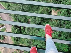 -梦幻奥陶纪景区