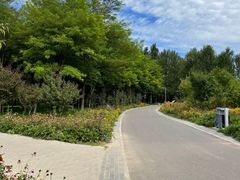 -东郊湿地公园