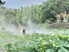 -广州莲花山旅游区