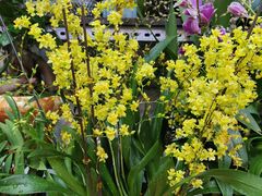 -三旗百汇商品城