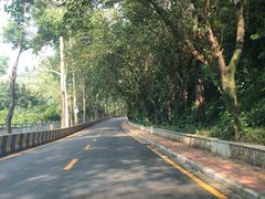 -南国桃园旅游度假区