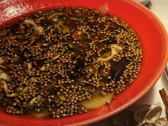 -初蓉丨遇见新川菜(亲贤街荣耀店)
