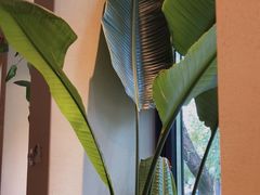 -BOCATA 西班牙餐厅(三里屯店)