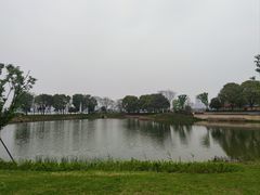 -金银湖国家城市湿地公园