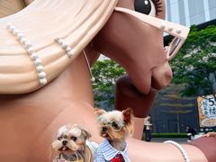 -东莞松山湖万象汇