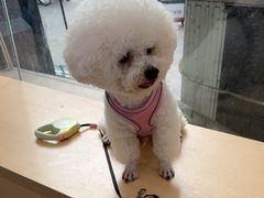 -瑞鹏宠物医院·超声·骨科·奇麟分院(蜀都万达店)