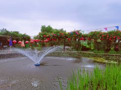 -同銮特种养殖场·龙虾垂钓