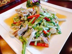 -老茶树骊园生态川菜馆