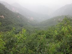 山景-延庆农家院