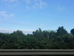 -爱达乐面包生日蛋糕(崇州金都汇店)