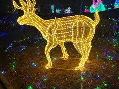 -南宫五洲植物乐园