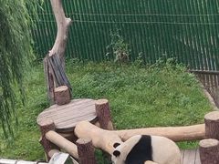 -沈阳森林动物园