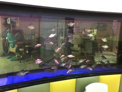 -牙博士口腔(杨浦店)