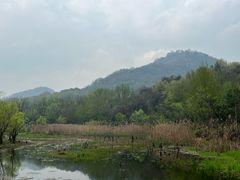 -西湖风景区-江洋畈生态公园