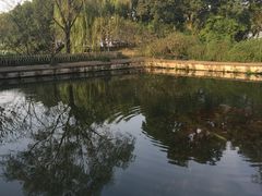 -西湖外事游船(花港观鱼码头)