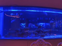 -上和臻品中国菜(花园街店)