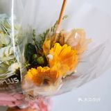 学习打卡DAY58、59