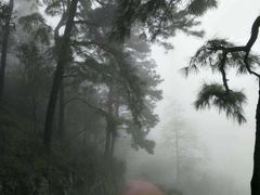 -敬亭山风景名胜区