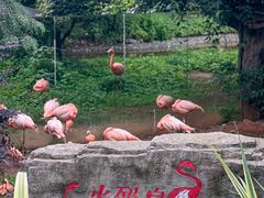 -云南野生动物园