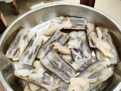 -丰尔粥食·粥底火锅·桑拿鸡(大良总店)