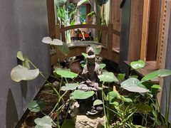 -邈墨茶馆(江南星座1店)