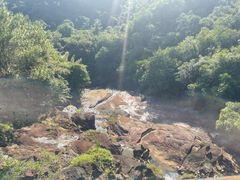 -广州白江湖森林公园