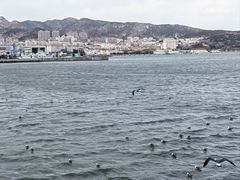 -幸福门