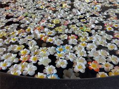 -七彩云南古滇温泉山庄