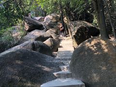 -火炉山森林公园