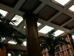 大盘鸡-金之禾馍菜汤四川家常菜(华城国际中心店)