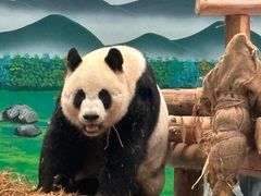 -柳州市动物园