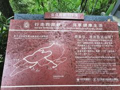 -九曜山