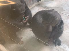 -石家庄市动物园