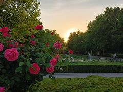 -裕华世纪公园
