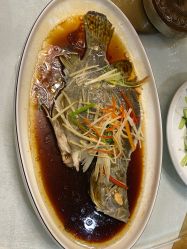 -鑫淼餐饮娱乐中心(江东街店)