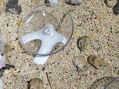 -万达广场(南京江宁店)