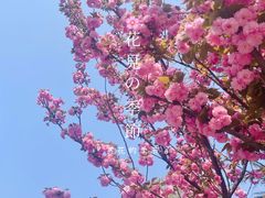 -河南省黄河迎宾馆